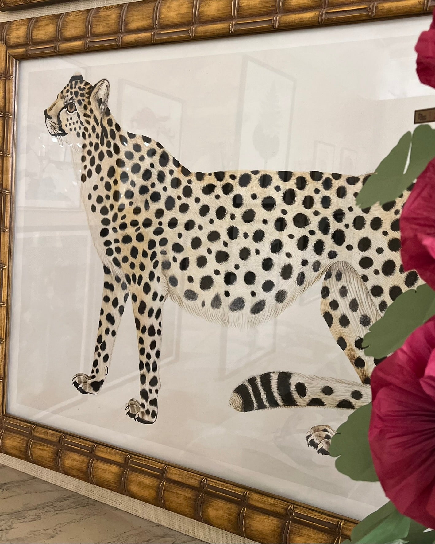 Cheetah - A