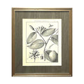 Heritage Art No. 7D