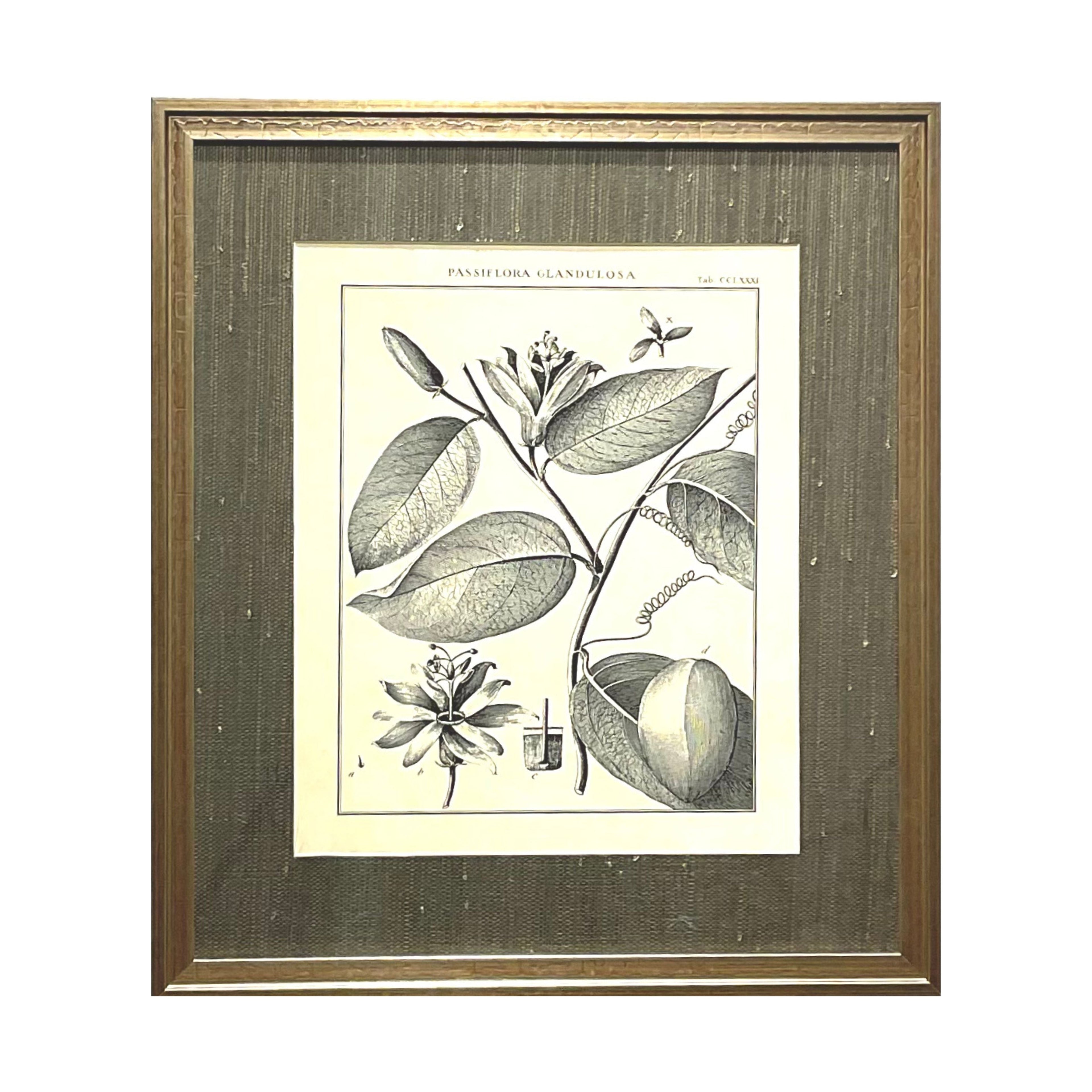 Heritage Art No. 7D