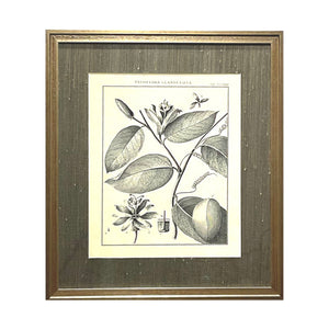 Heritage Art No. 7D