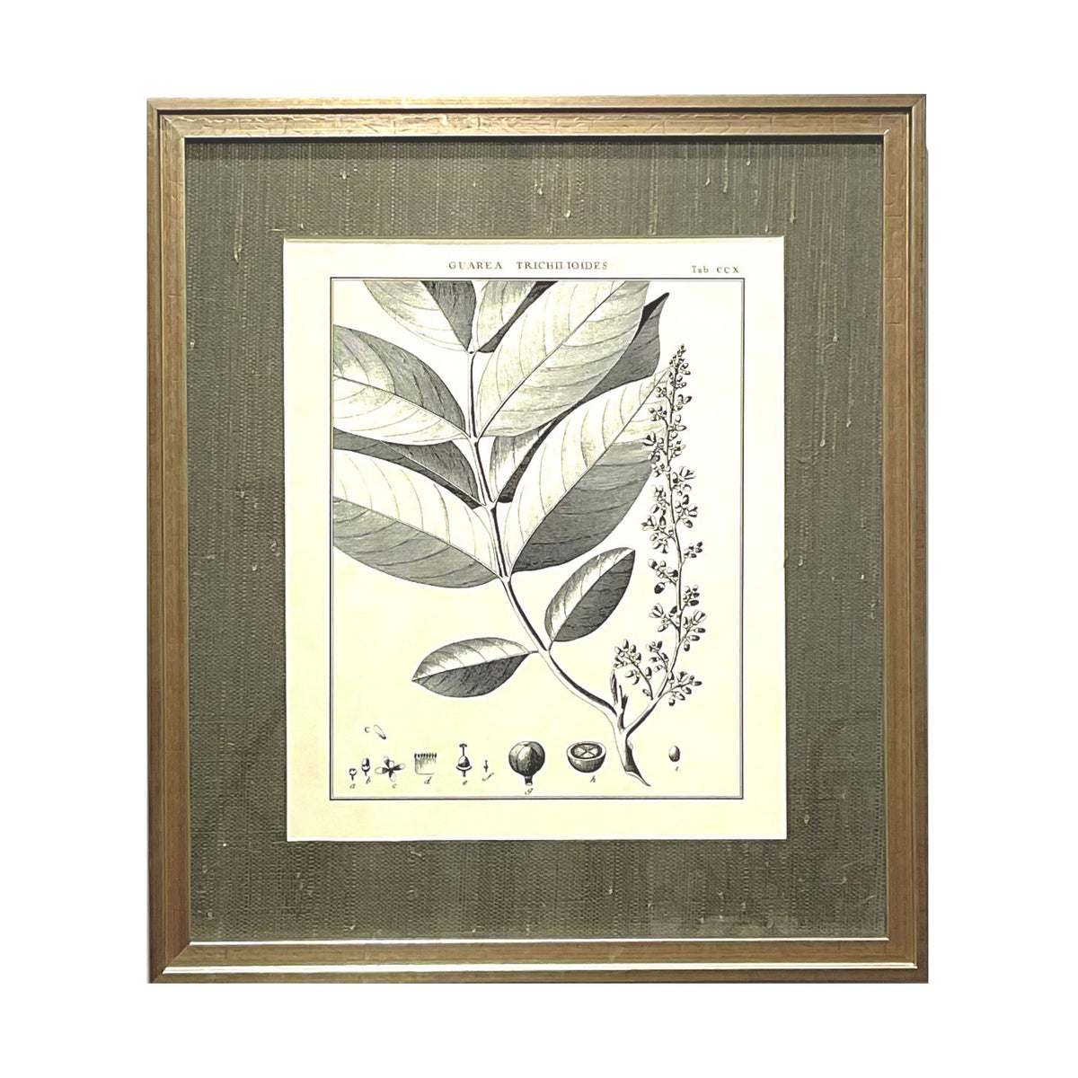 Heritage Art No. 7F