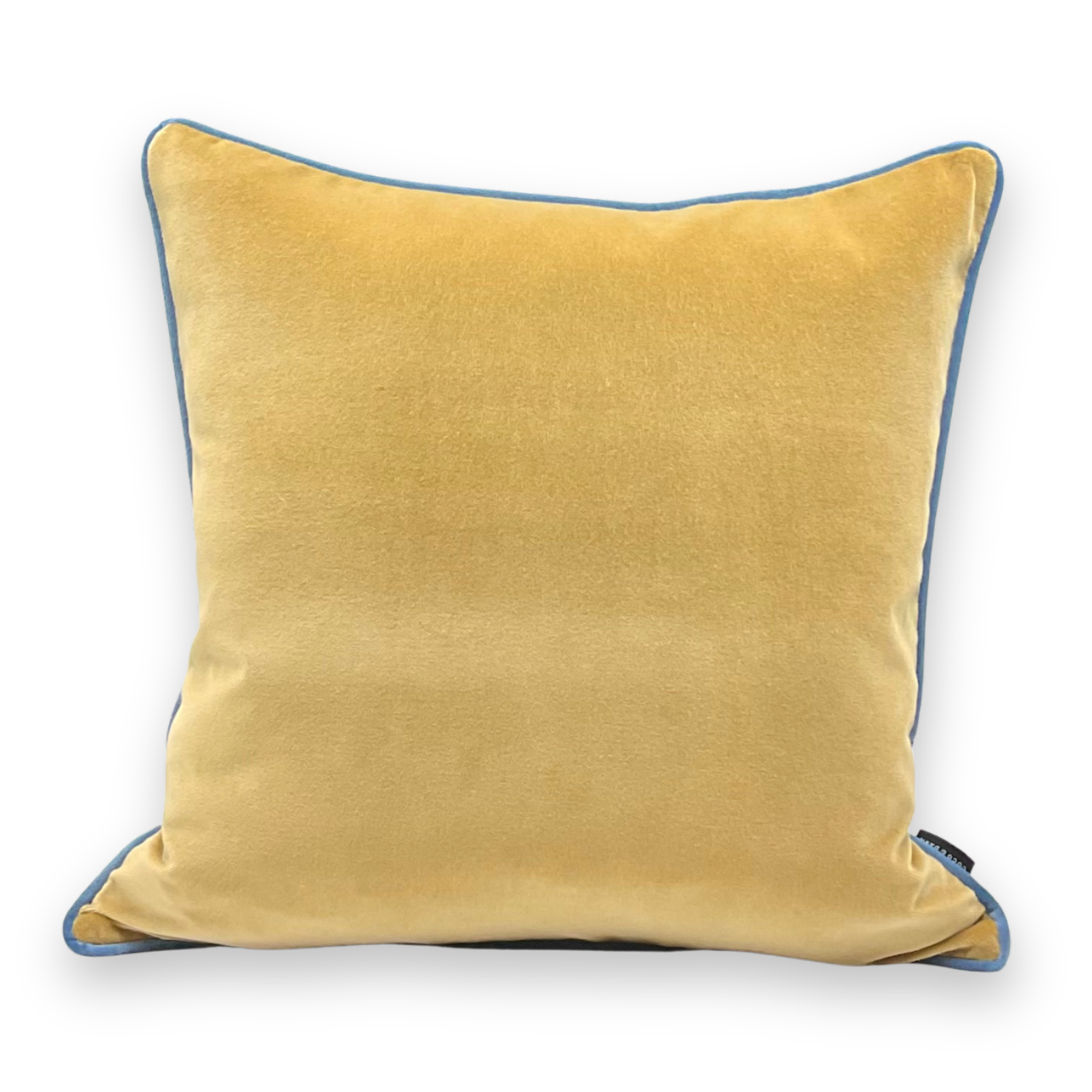 Camel and Lake Mimi Pillow