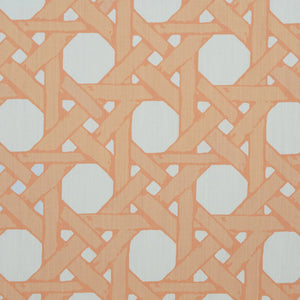 Cane Back Fabric