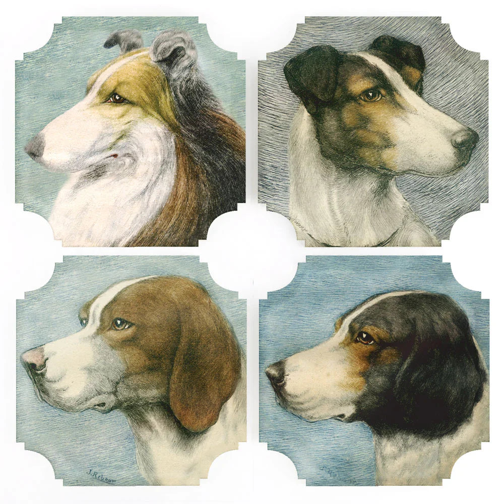 Dogs Acrylic Coasters