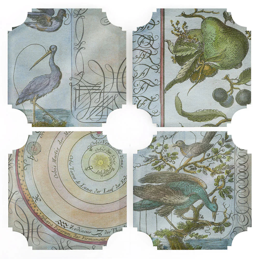 Celestial Birds & Pears Acrylic Coasters