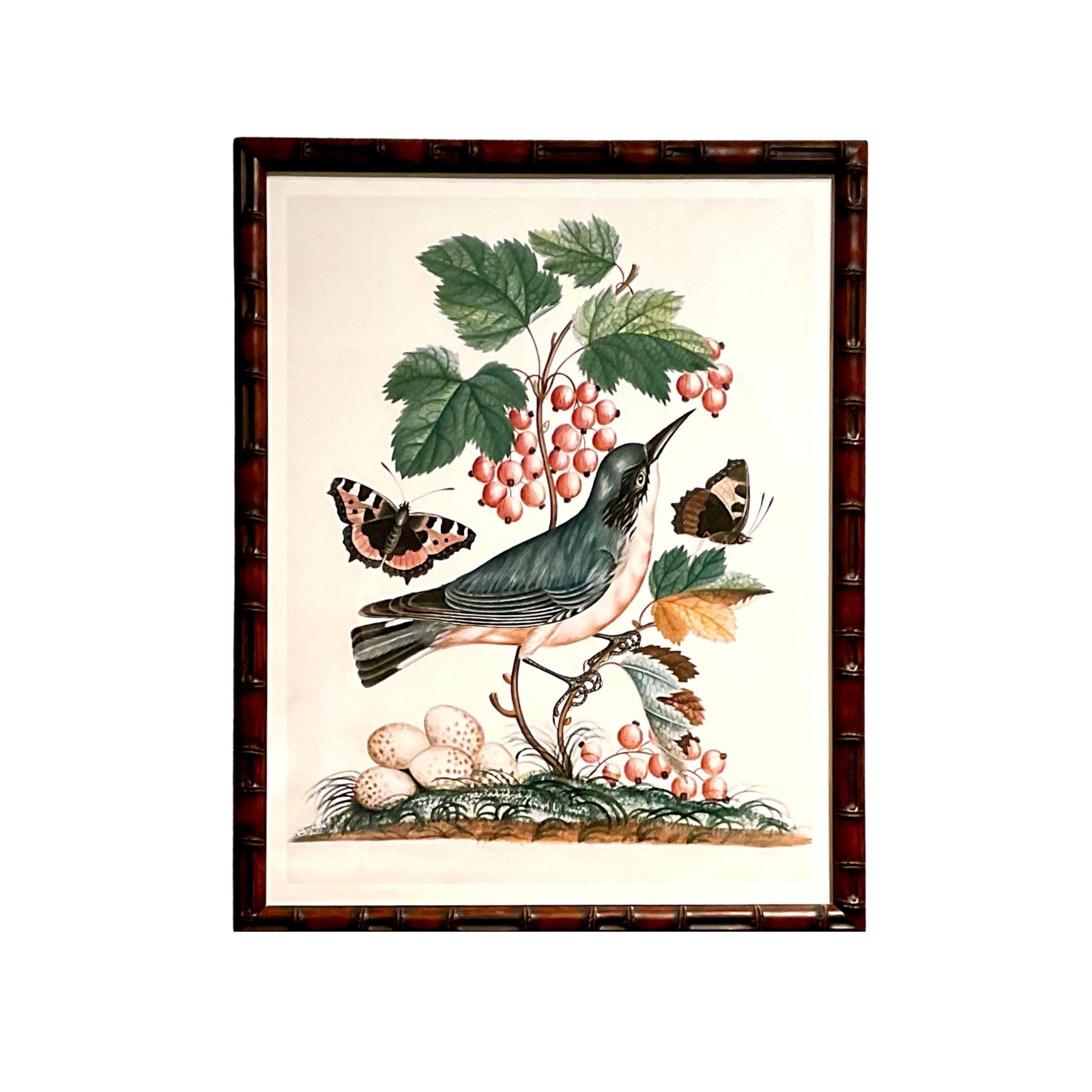 English Specimens - A