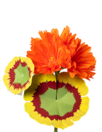 Sunset Orange Geranium Plant