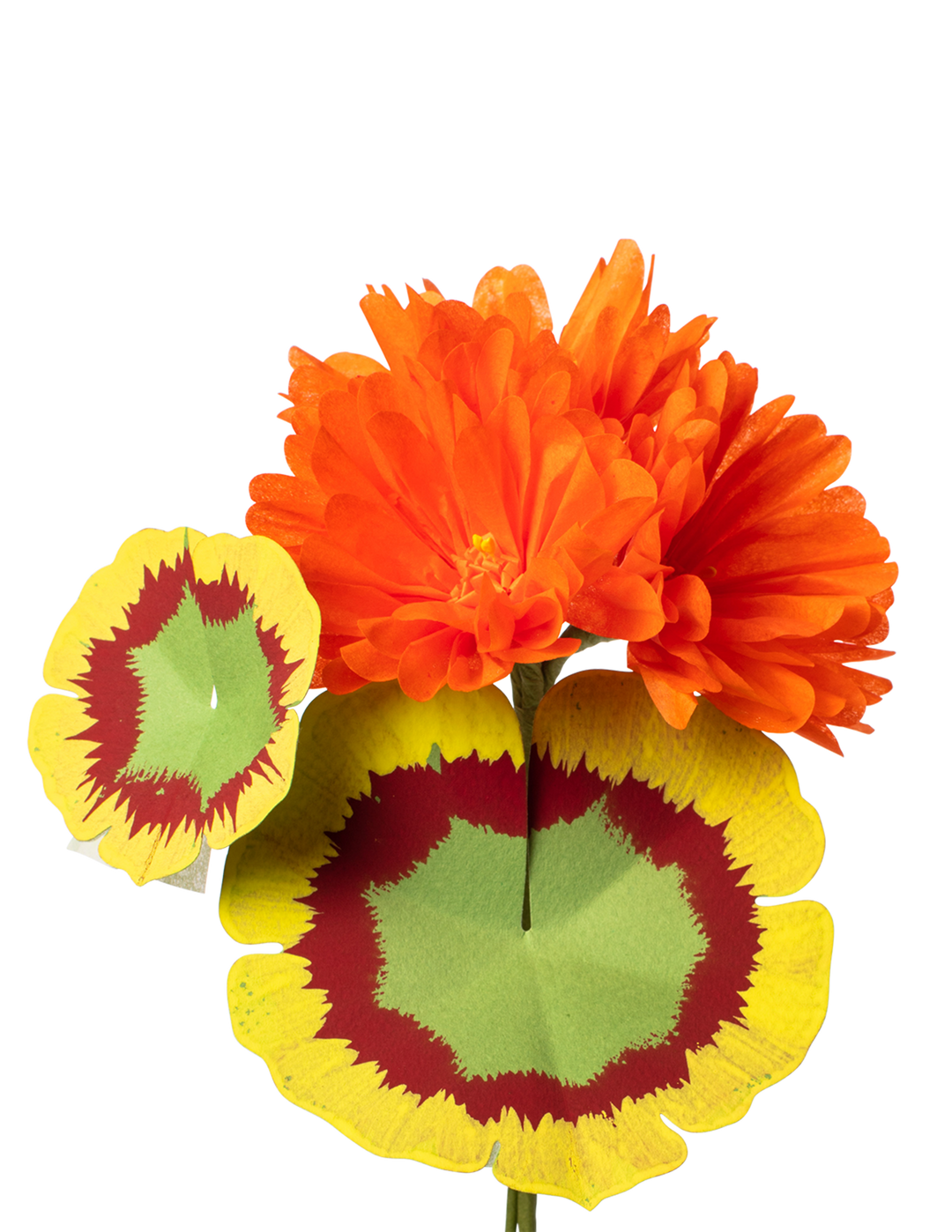 Sunset Orange Geranium Plant
