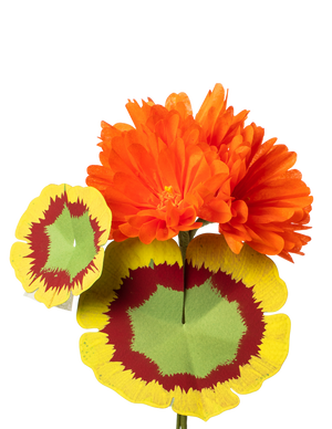 Sunset Orange Geranium Plant