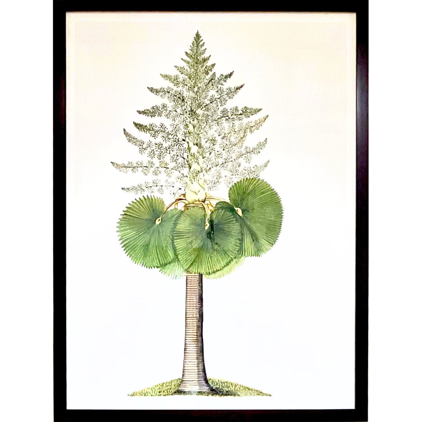 East Indian Flora - A