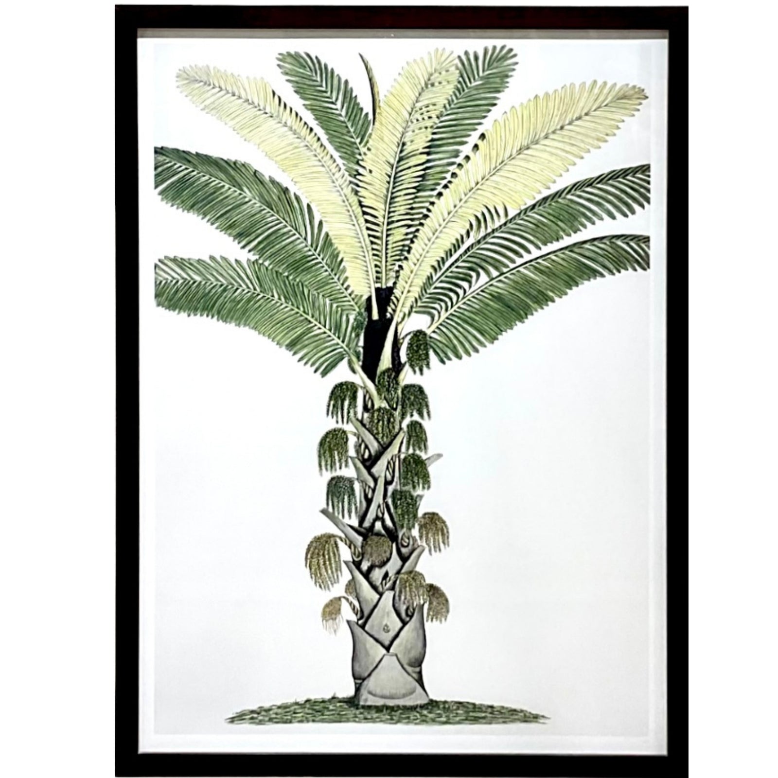 East Indian Flora - B