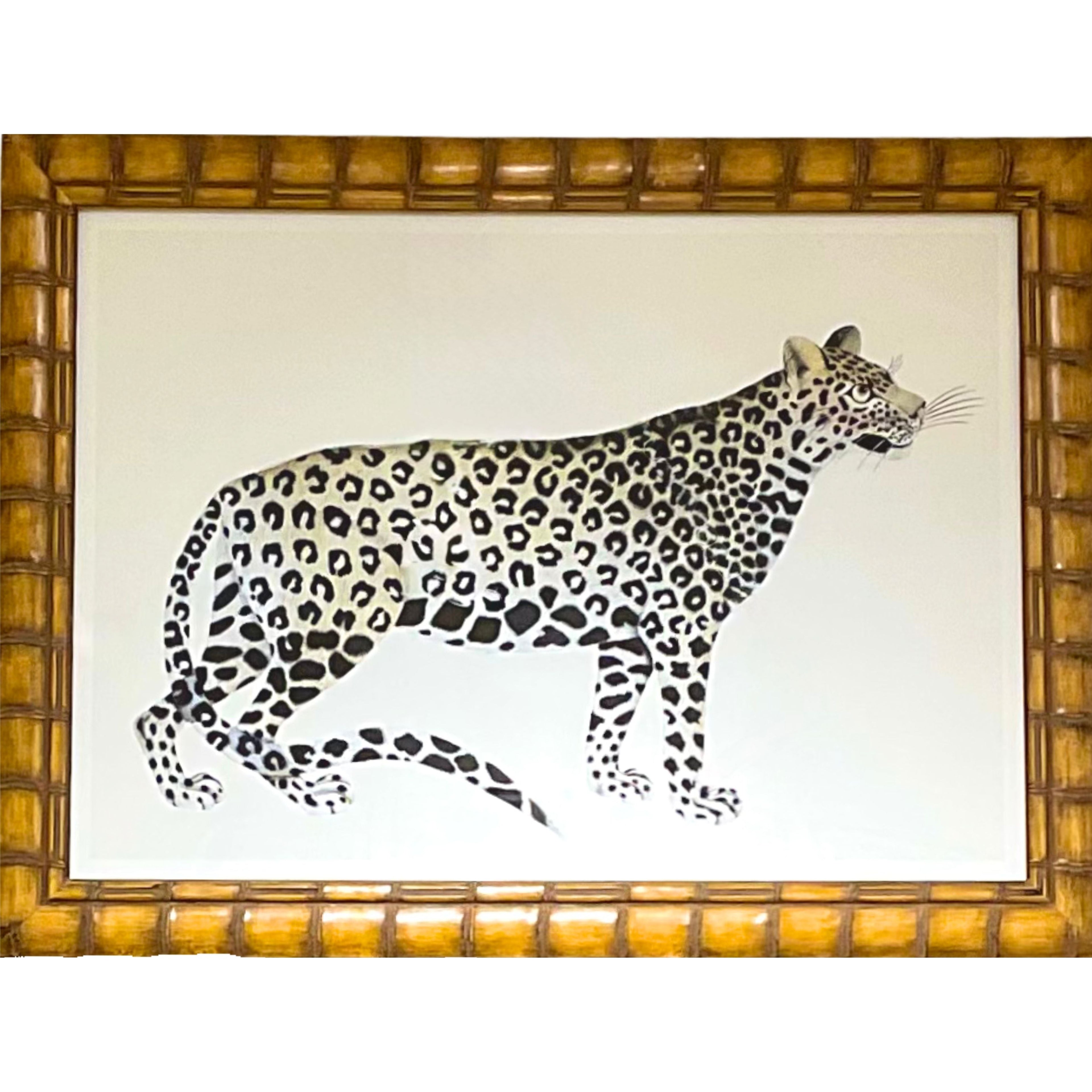 Cheetah - B
