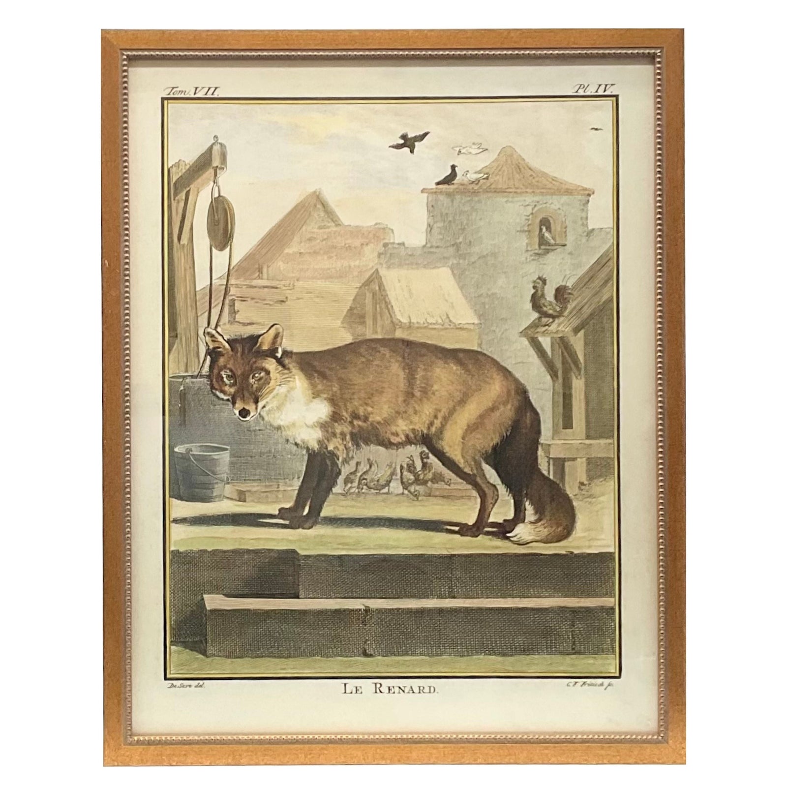 Natural History Prints