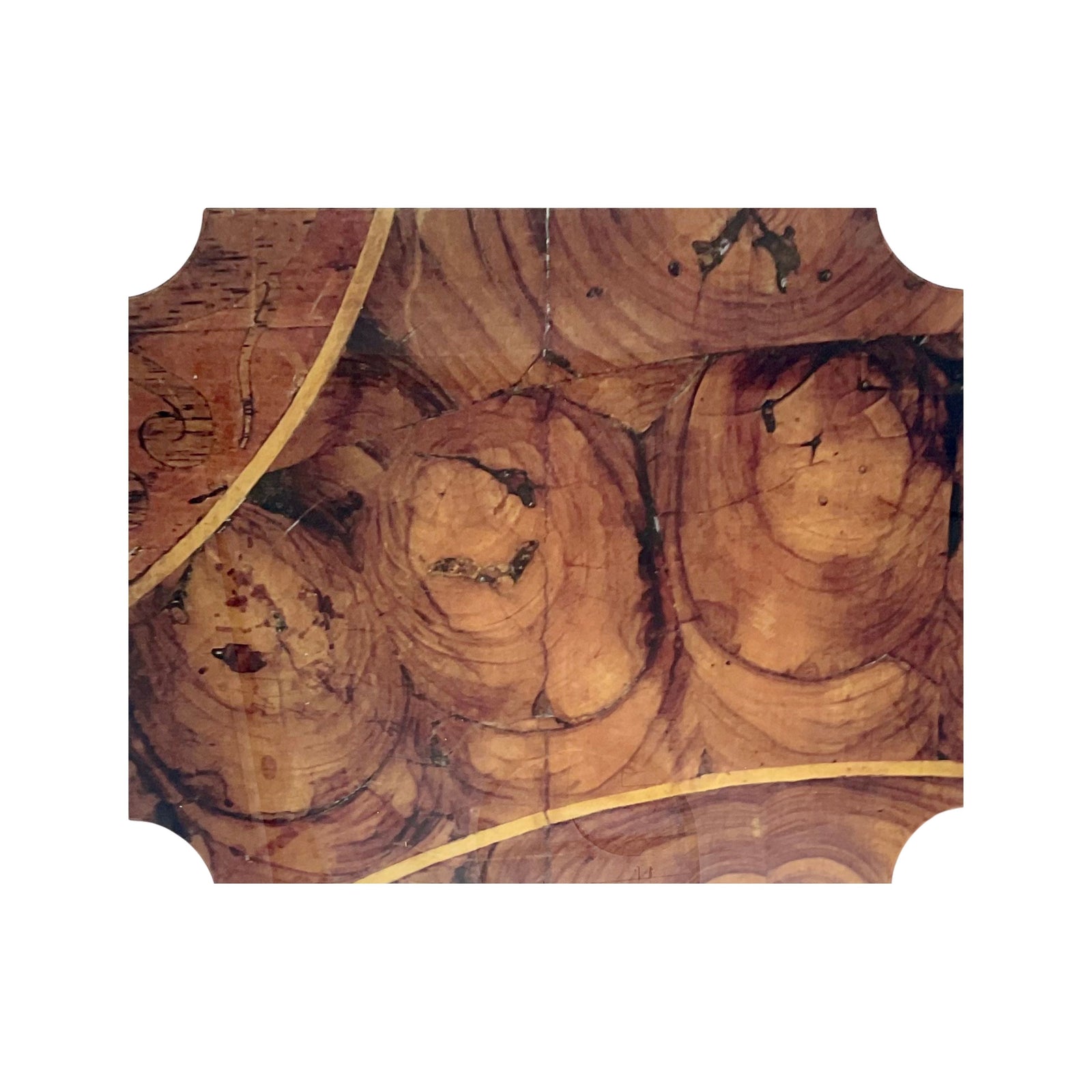 Oysterwood Acrylic Placemats