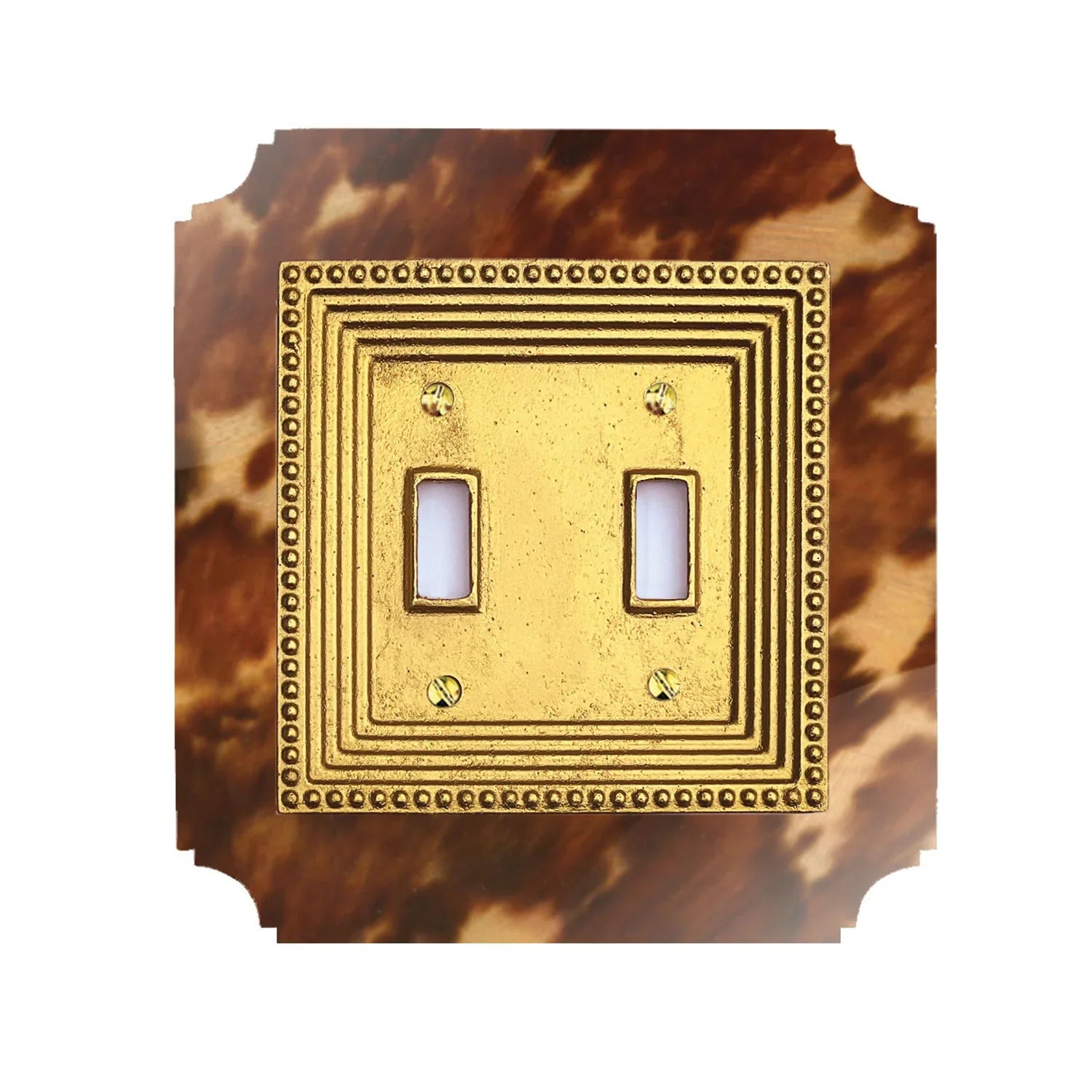 Georgian Acrylic & Brass Switch Plates