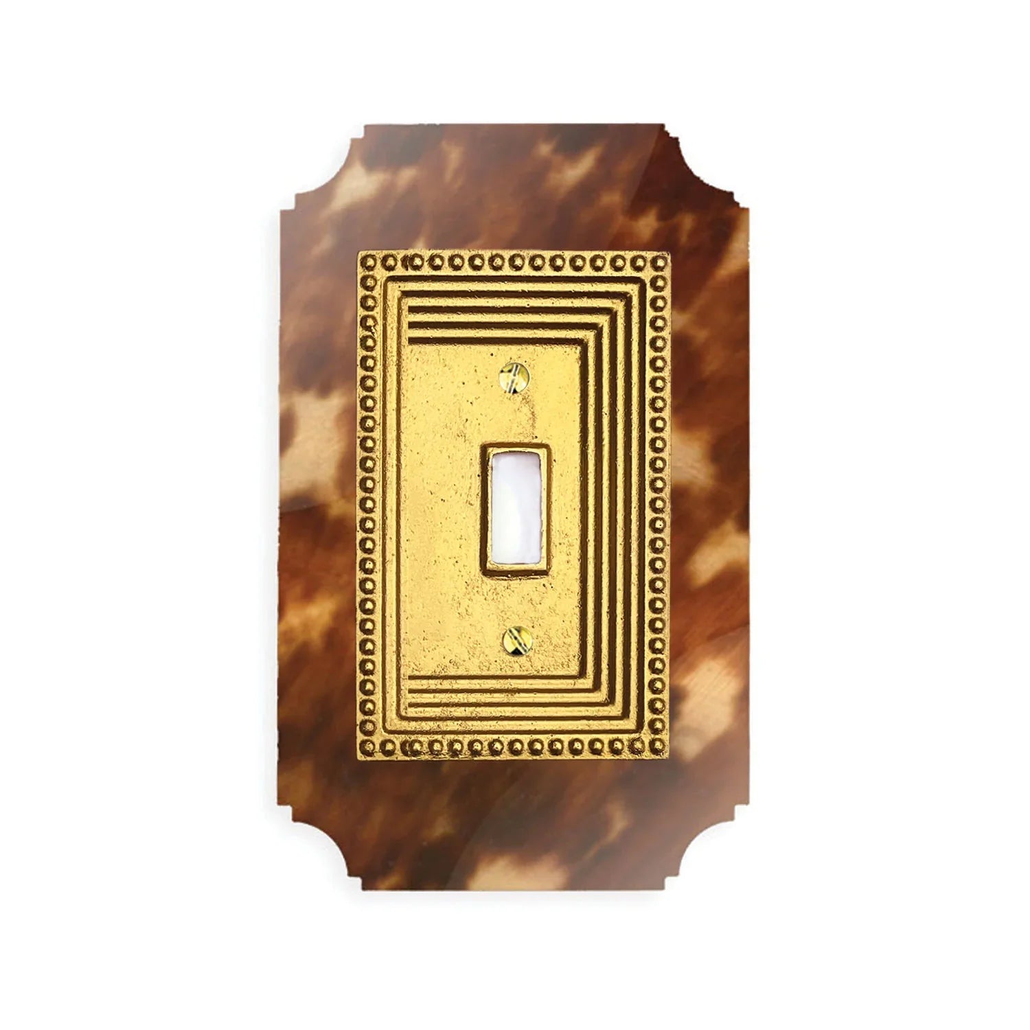 Georgian Acrylic & Brass Switch Plates