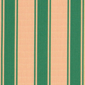 Riviera Stripes Fabric