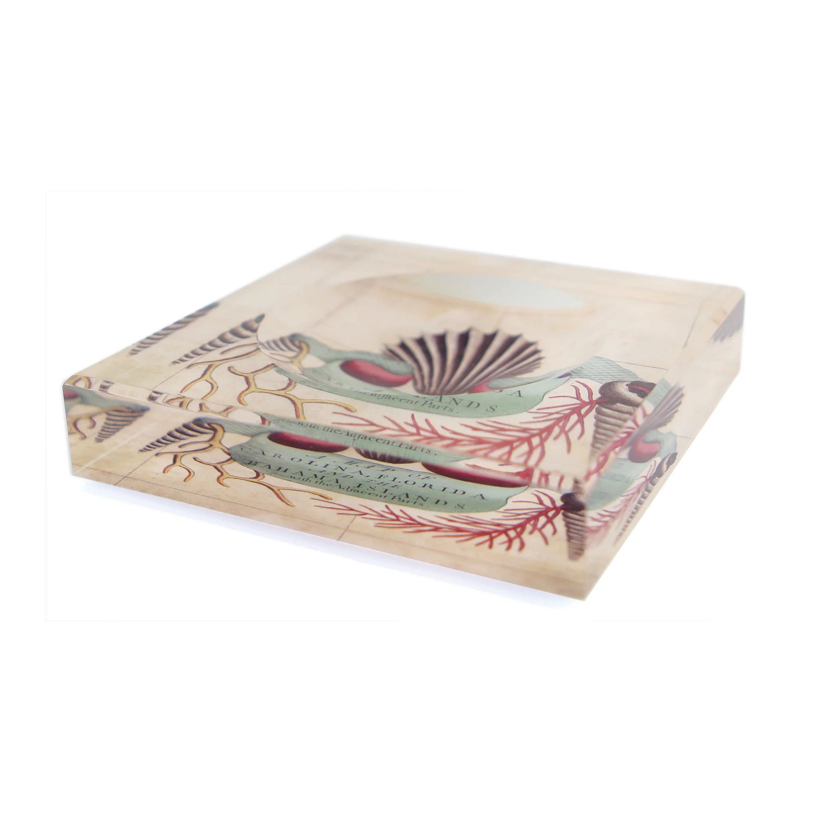 Carolina, Florida & Bahamas Trinket Bowl