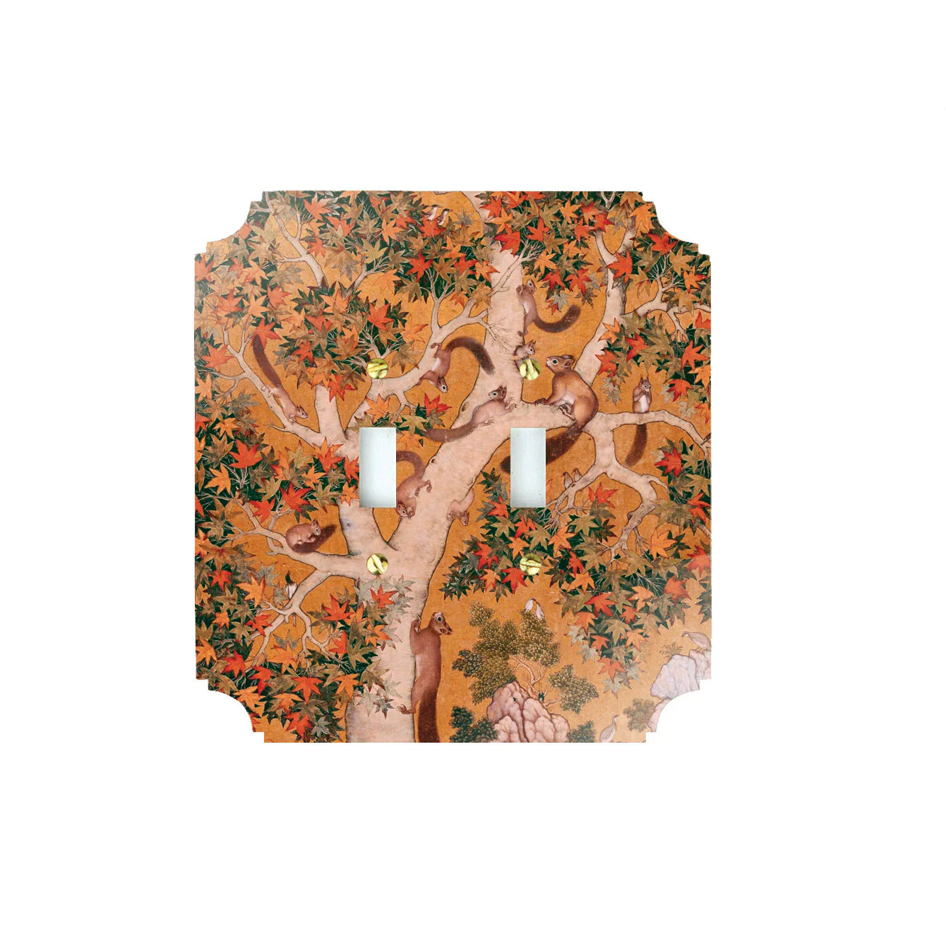 Squirrel World Acrylic Switch Plates