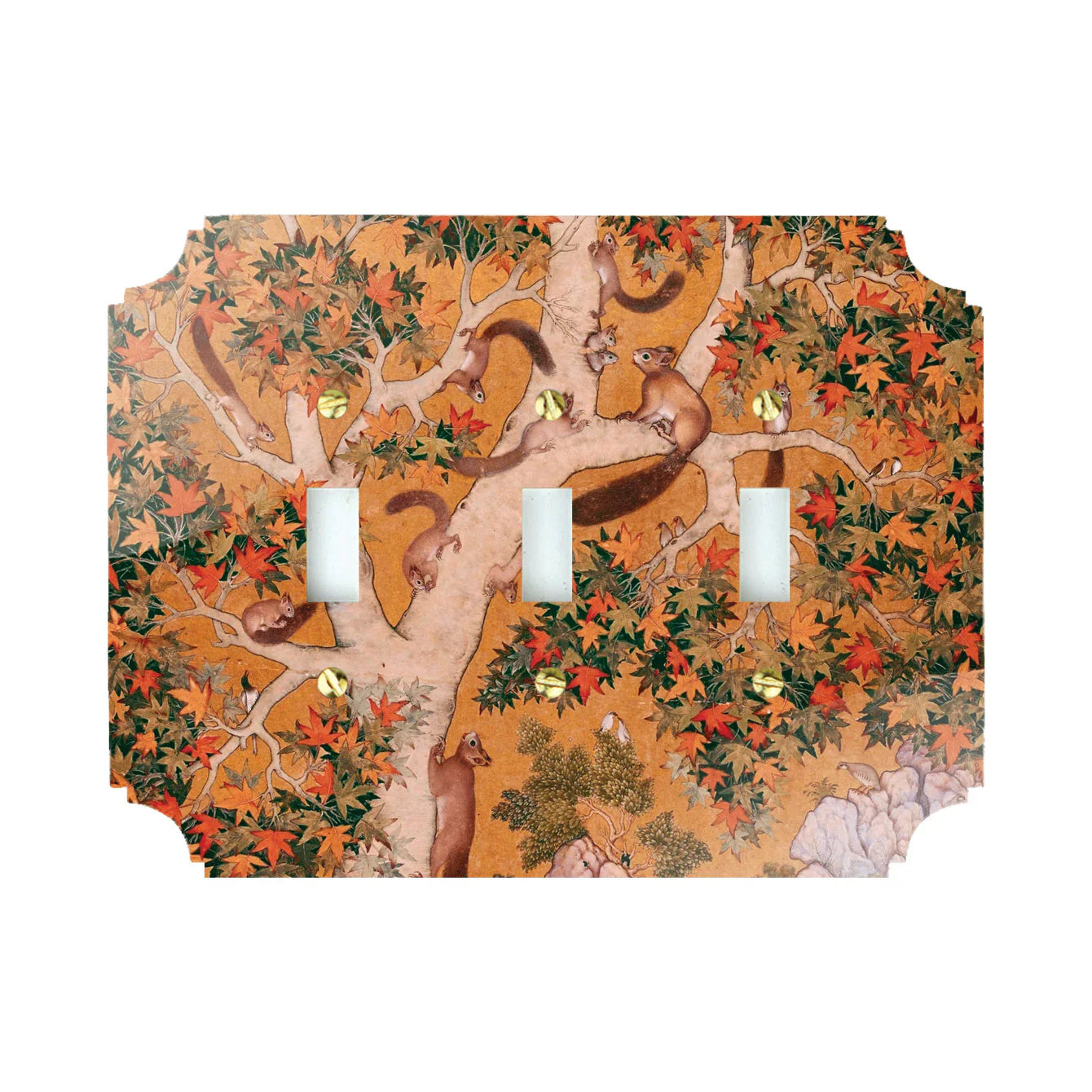 Squirrel World Acrylic Switch Plates