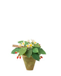 Strawberry Plant
