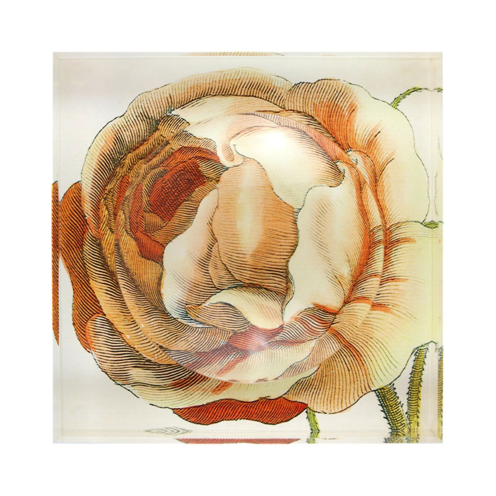 Hollar Rose Trinket Bowl