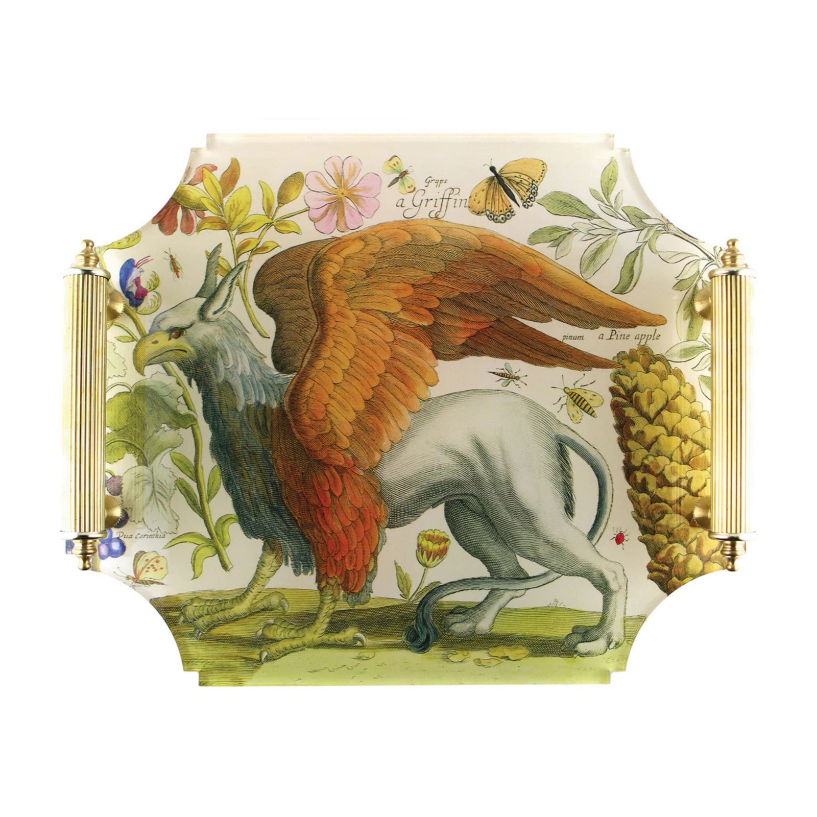 Griffin Acrylic Tray