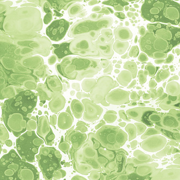 Trevi Fabric