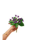 Violet Stem