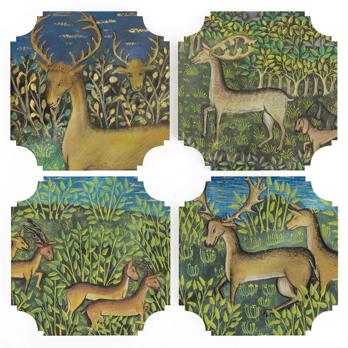 Acrylic Medieval Deer Coasters