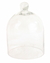 Glass Cloche Bell Jar