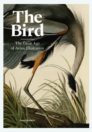 The Bird: The Great Age of Avian Illustration