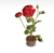Ranunculus Mini Pot-Red