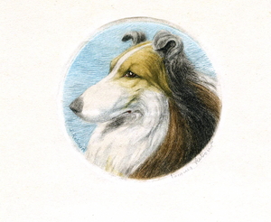 French Wood Cut Collie
