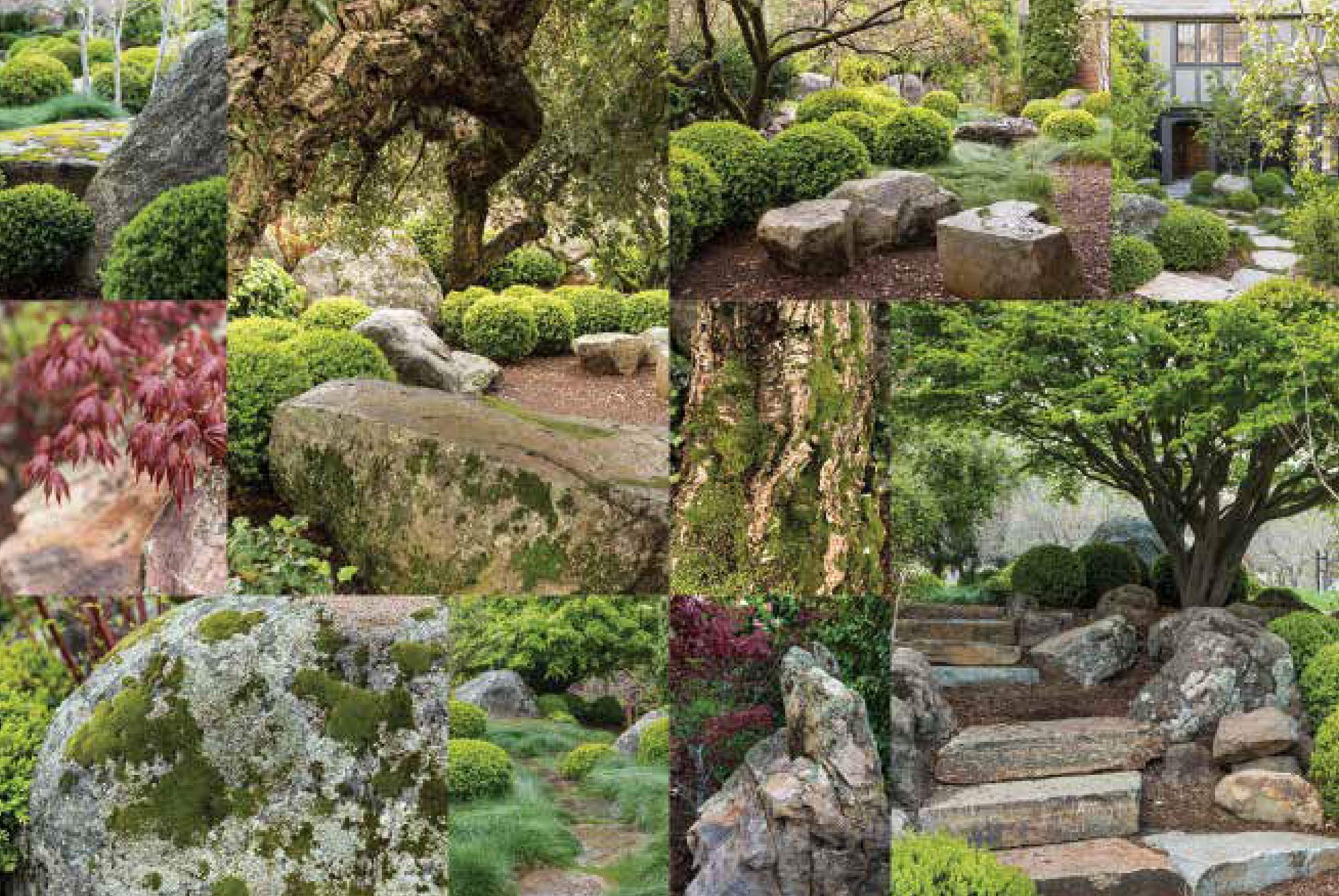 The Art of Outdoor Living: Gardens for Entertaining Family and Friends